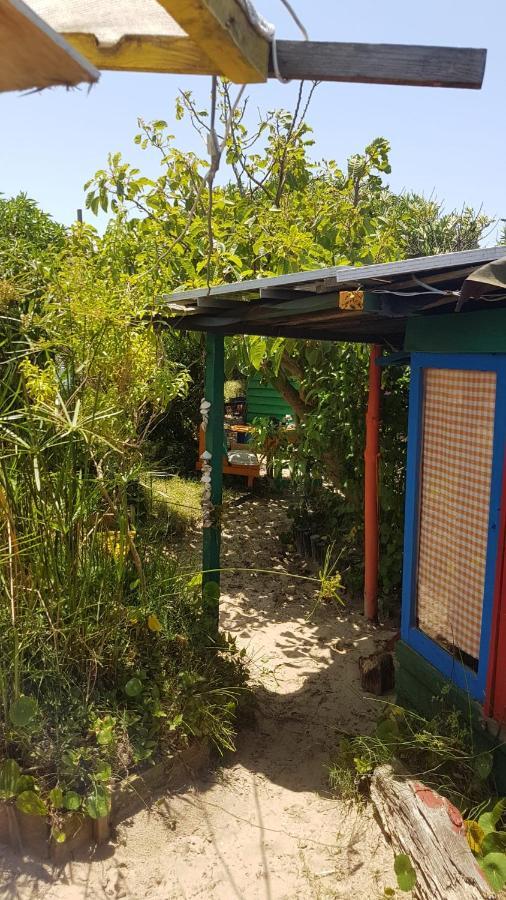 Ajo Aloha Hostel Cabo Polonio Exteriör bild