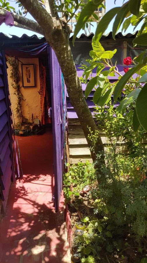 Ajo Aloha Hostel Cabo Polonio Exteriör bild